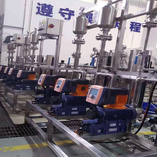 污水厂计量泵案例